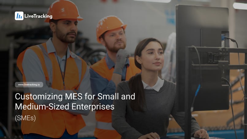 MES for Small and Medium-Sized Enterprises